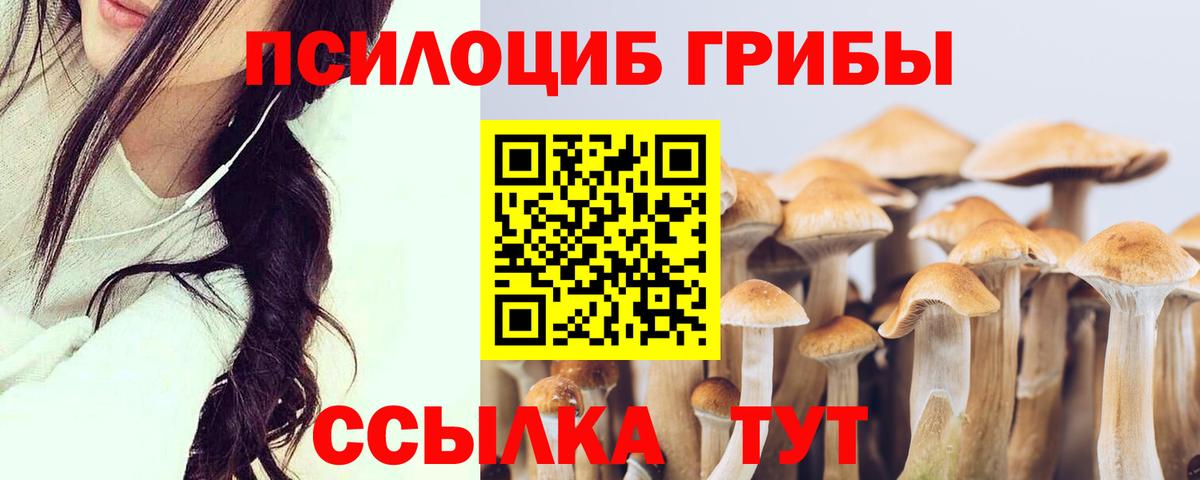цена наркотик  Вход с VPN  Кувандык  Галлюциногенные грибы MAGIC MUSHROOMS 